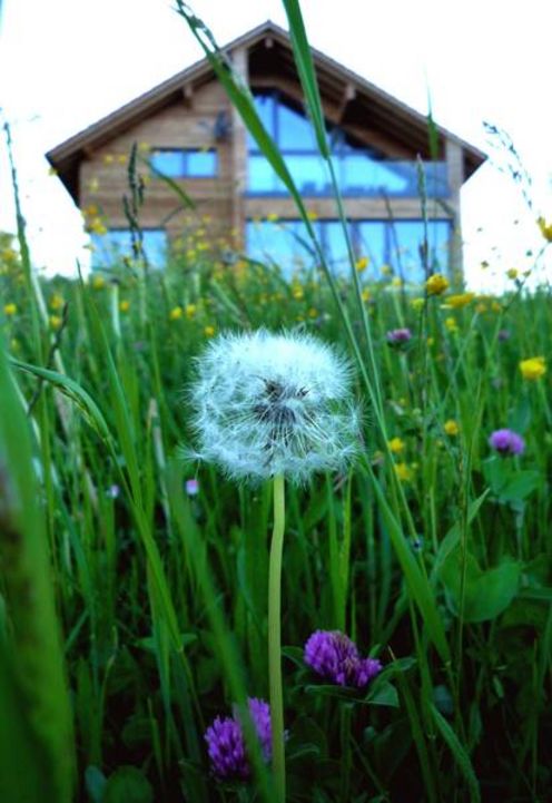 Natur pur - Haus IN NATURA Natur pur - Haus IN NATURA - Statik für Ferienhaus